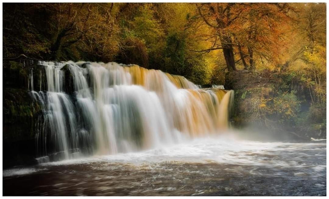 James' Place @ Bike Park Wales And The Brecon Beacons เมอเทอร์ทิดฟิล ภายนอก รูปภาพ